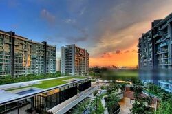 Botannia (D5), Condominium #559503031